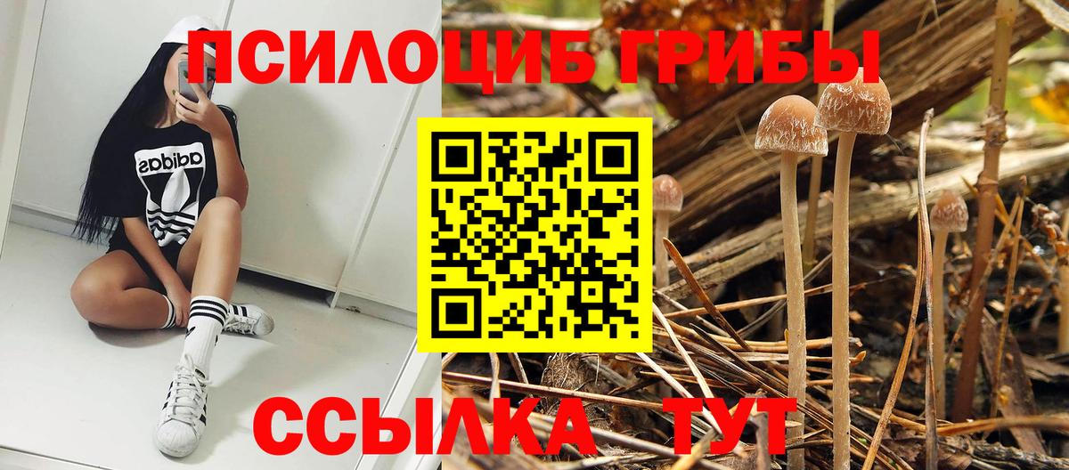 Псилоцибиновые грибы GOLDEN TEACHER  Галлюциногенные грибы GOLDEN TEACHER  Вход с VPN  как найти   Острогожск 