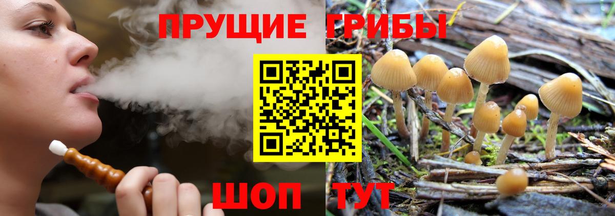 Галлюциногенные грибы Psilocybe Острогожск