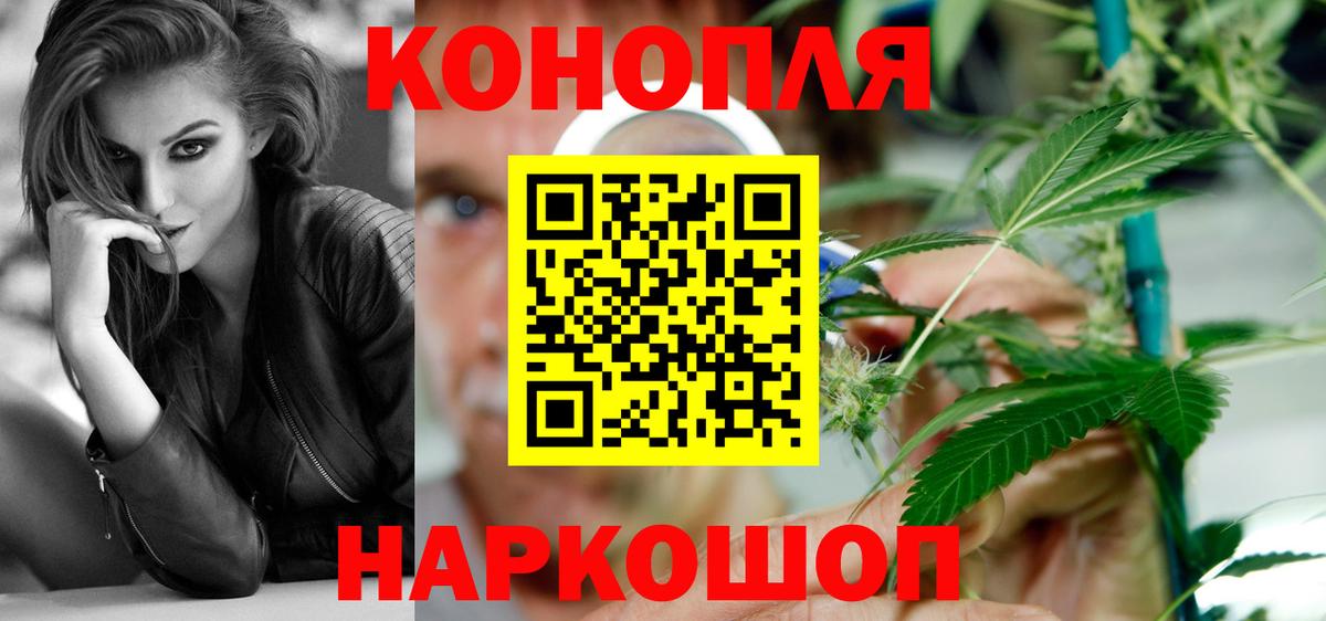 Бошки Шишки семена  Бошки Шишки VHQ  Острогожск  Вход с VPN  Канабис THC 21% 